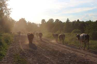 Similar image 2996540