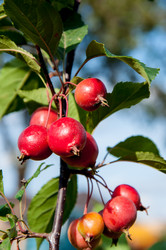 Similar image 2996542