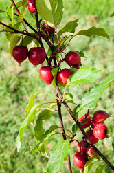 Similar image 2996543