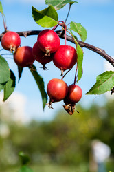 Similar image 2996545