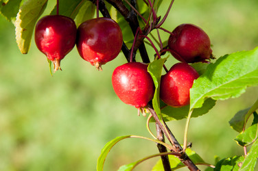 Similar image 2996546