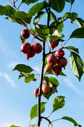 Similar image 2996547