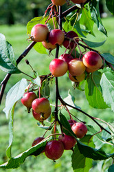 Similar image 2996548