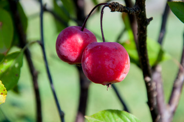 Similar image 2996549