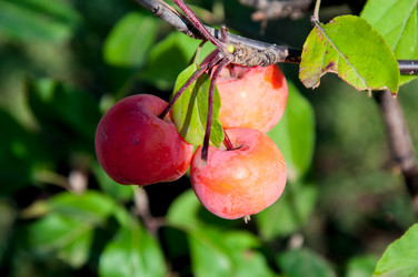 Similar image 2996550