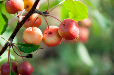 Similar image 2996551