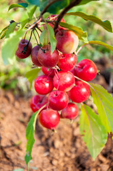 Similar image 2996553