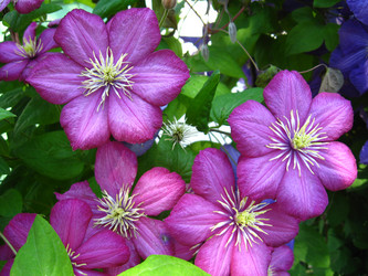 Similar image 2996561