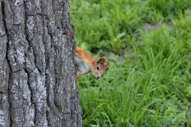 Similar image 2996571