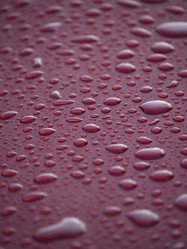 Similar image 2996589