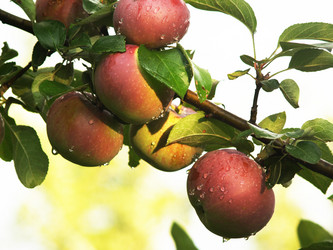 Similar image 2996594