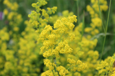 Similar image 2996619