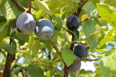 Similar image 2996637