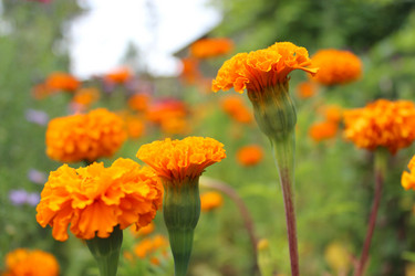 Similar image 2996640