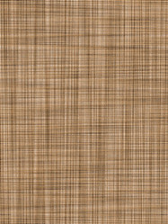 Similar image 2996642