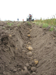 Similar image 2996643