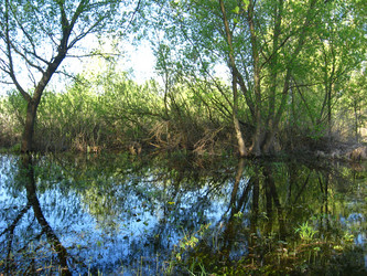 Similar image 2996646