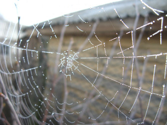 Similar image 2996649