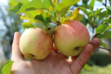 Similar image 2996656