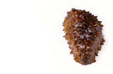 Similar image 2996701