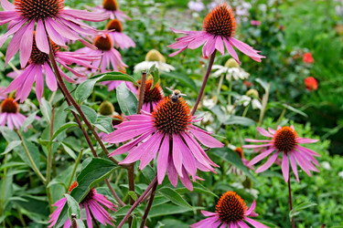 Similar image 2996778