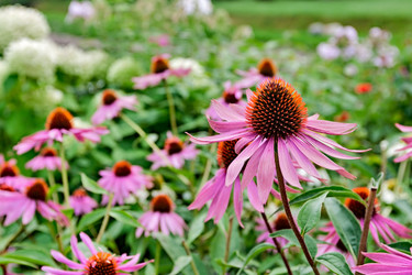 Similar image 2996780