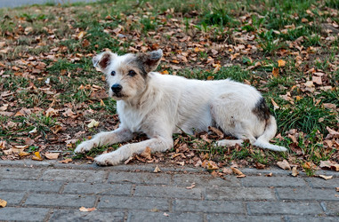 Similar image 2996844