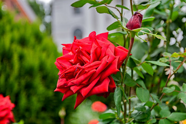 Similar image 2996882