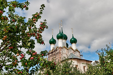 Similar image 2996995