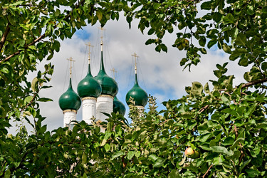 Similar image 2997006