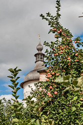 Similar image 2997008