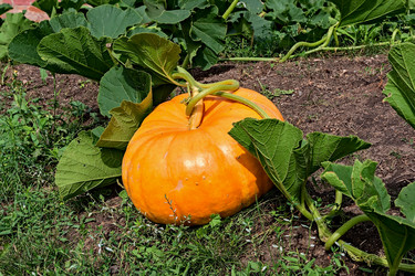 Similar image 2997012