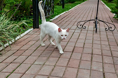 Similar image 2997040