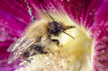 Similar image 2997085