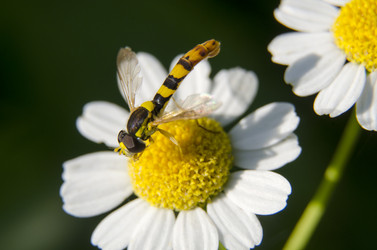 Similar image 2997086