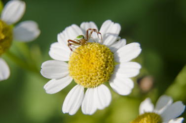 Similar image 2997087