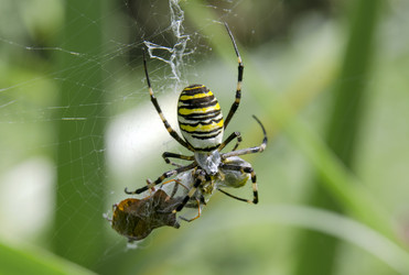 Similar image 2997089