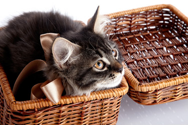 Similar image 2997132