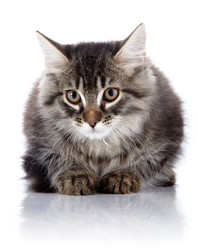 Similar image 2997134