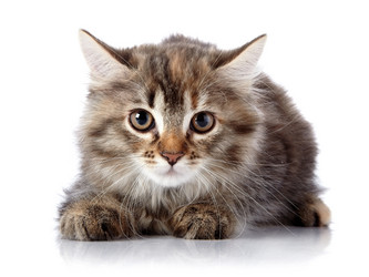 Similar image 2997137