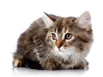 Similar image 2997139