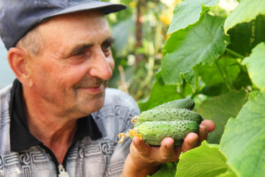 Similar image 2997155