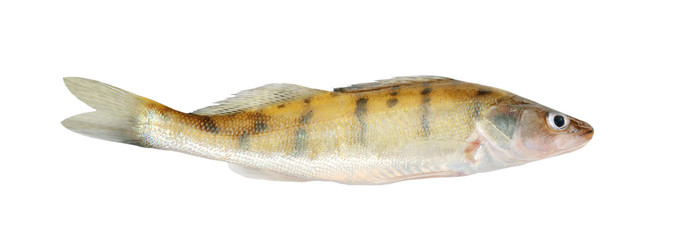 Similar image 2997159