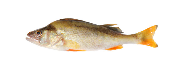 Similar image 2997160