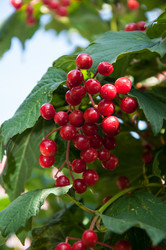 Similar image 2997191