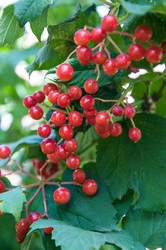 Similar image 2997192