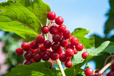 Similar image 2997193