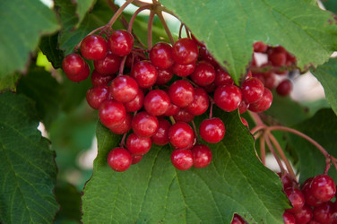 Similar image 2997194