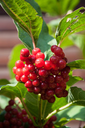 Similar image 2997196