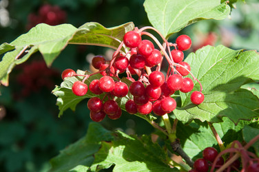 Similar image 2997197